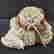 item-131677073=4
