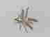 item-131677382=4