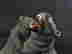 item-131677677=3