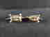 item-131677732=6