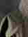 item-131689699=3