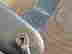 item-131689718=2