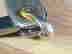 item-131689718=6