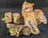 item-131689774=4