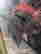 item-131690423=4