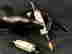 item-131690479=14