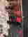 item-131829550=3