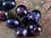 item-131830404=2