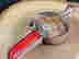item-131830429=5