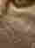 item-131826622=4