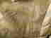 item-131826637=9