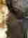 item-131826641=6