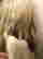 item-131826656=10