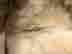 item-131826656=11