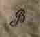item-131826699=8