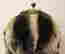 item-131826702=2