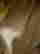 item-131826794=5
