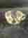 item-131894636=4