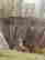 item-131894728=5