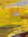 item-131894745=4