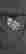 item-131895146=7