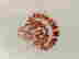 item-131896243=7