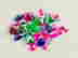 item-132042861=5