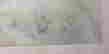 item-133673334=3