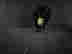item-133863843=5