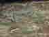 item-133902353=6