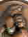 item-133902374=2