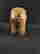 item-133902730=7