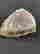 item-133902818=4