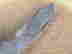 item-133907409=12