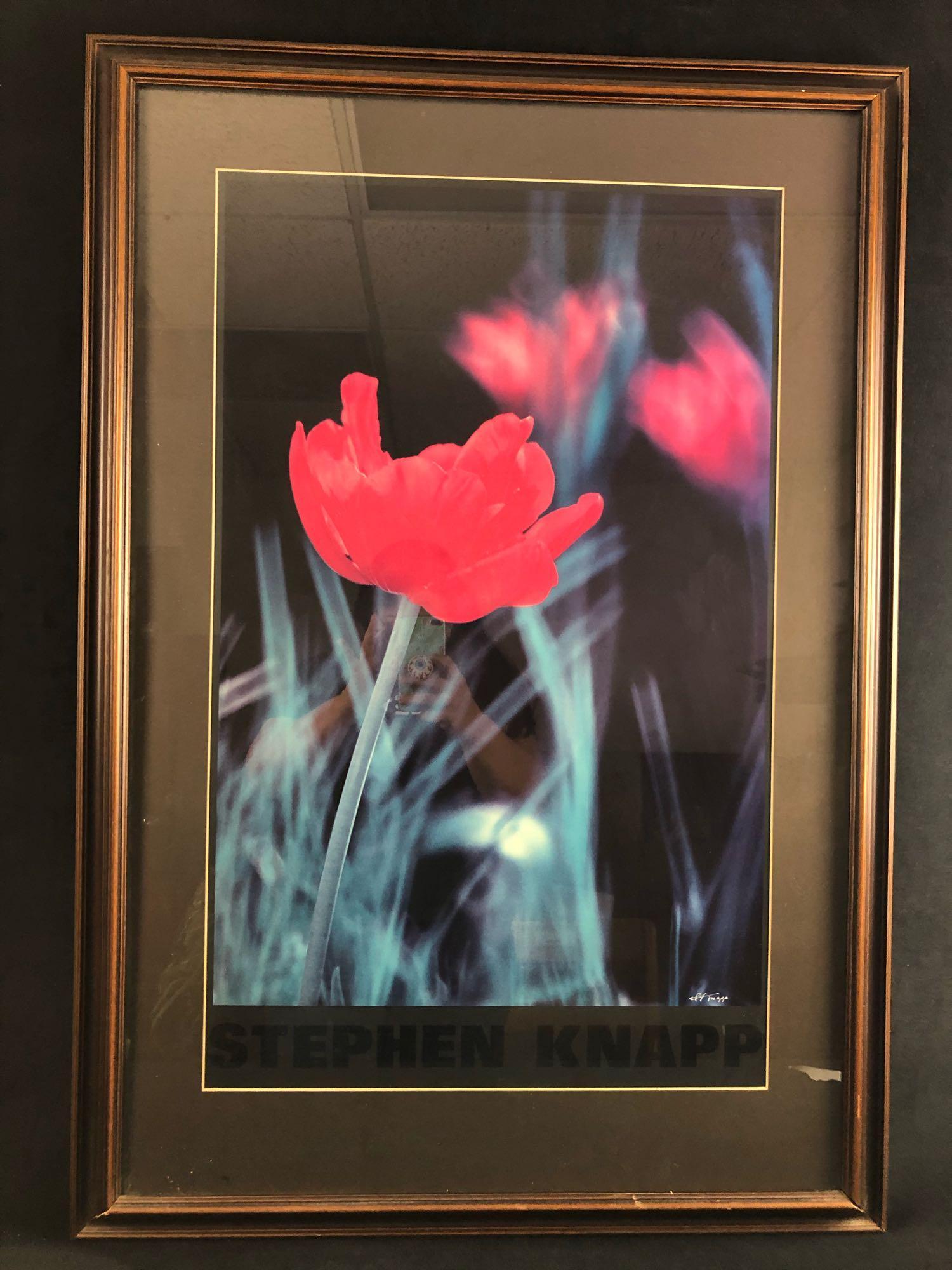 Stephen Knapp Red Tulips Print Photograph (1 of 11)