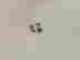 item-133924712=8