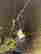 item-134157706=4