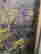 item-134157706=5