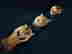 item-134318442=5