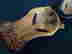 item-134318442=6