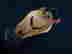 item-134318442=8