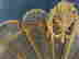 item-134419991=3