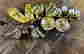 item-135105214=4
