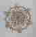 item-136515799=5