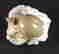 item-137196856=6