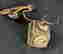 item-137253227=4