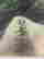 item-137253518=3