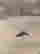 item-137253518=5
