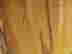 item-137254286=2