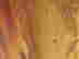 item-137254286=3